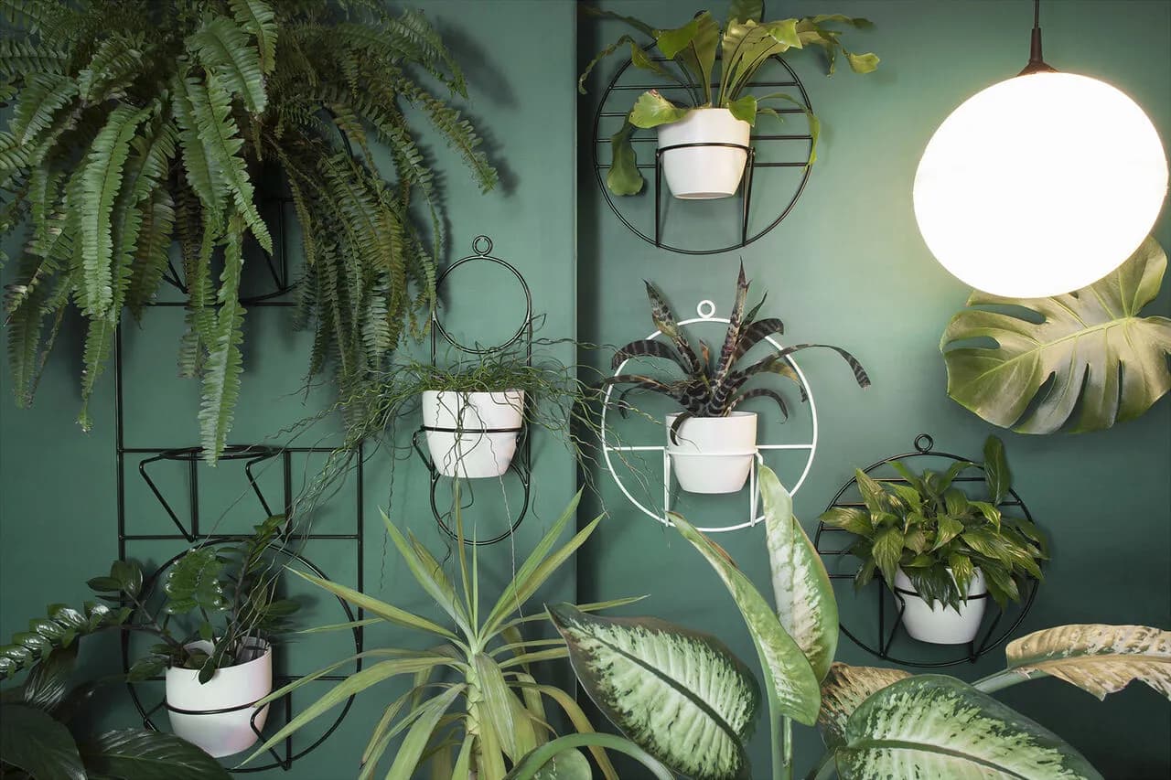 Jaki kwietnik do salonu wybrać, aby uniknąć błędów w aranżacji? Jaki kwietnik do salonu wybrać, aby uniknąć błędów w aranżacji?